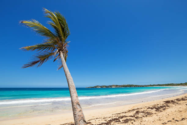 istock Playa Macao at sunny day, sandy beach and ocean waves 1257568529