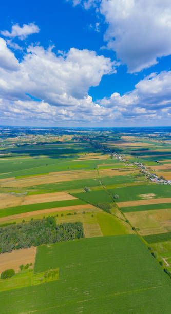 パノラマ空中広大な緑のフィールドビュー - 農業フィールド航空写真 - 緑の風景ドローンの写真 - トビガエル ストックフォトと画像