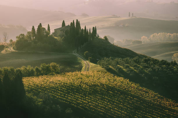 istock Sunrise in Italy 1257571283