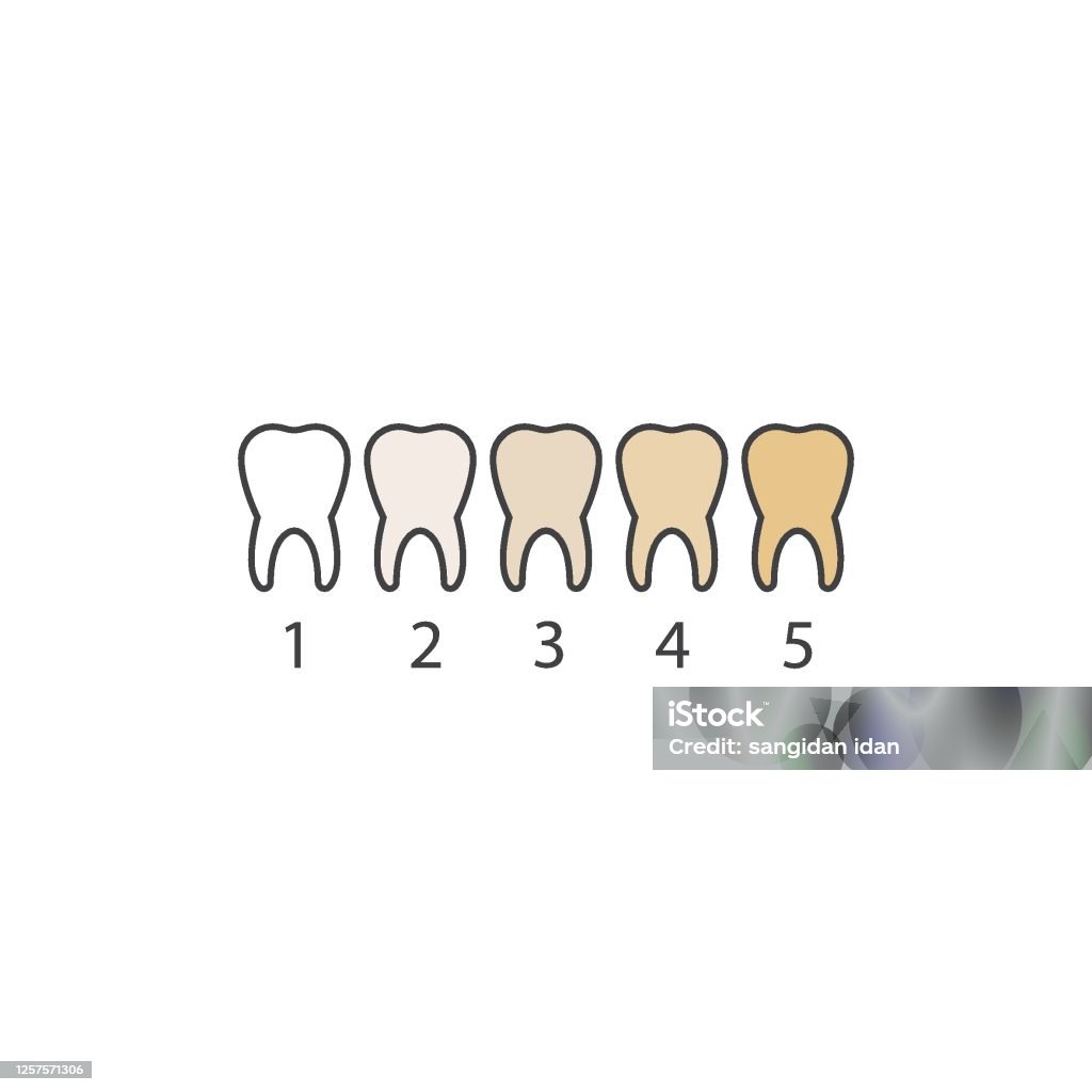 Tooth Learning Colors Tooth Color Level Vector Illustration Stock Illustration - Download ...