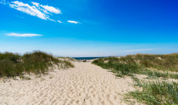 istock Sandy path to the beach between dunes, Baltic Sea Germany in summer 1257572380