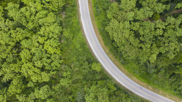 istock Aerial top view of a provincial road passing through a forest background 1257575014