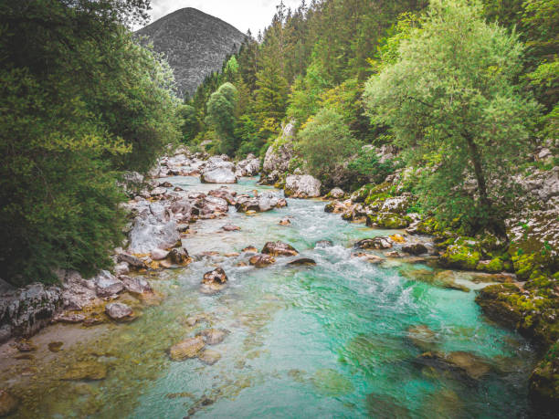 istock Crystal Clear Light Blue Mountain River in Soca Valley with fast rapids 1257575784