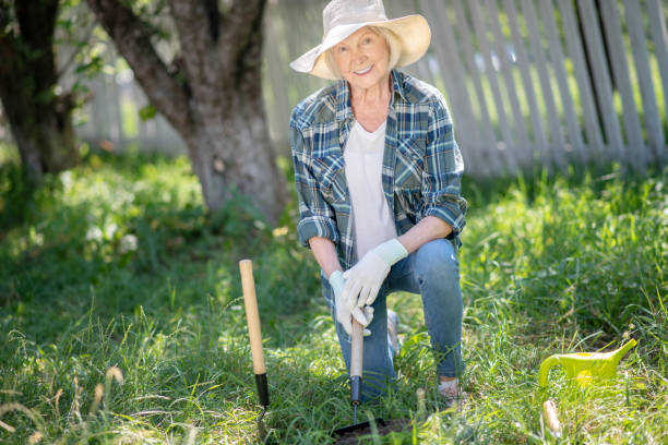 mulher idosa alegre trabalhando em um jardim de cozinha - planting clothing gray hair human age - fotografias e filmes do acervo