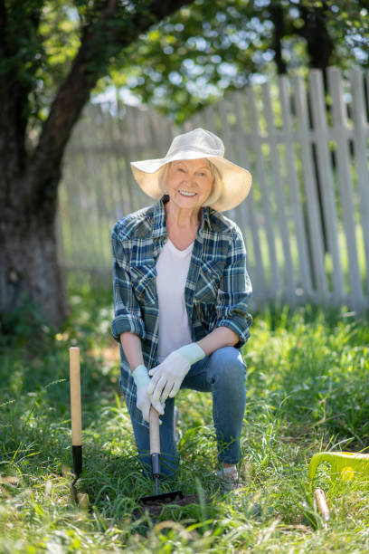 idosa trabalhando em uma horta - planting clothing gray hair human age - fotografias e filmes do acervo