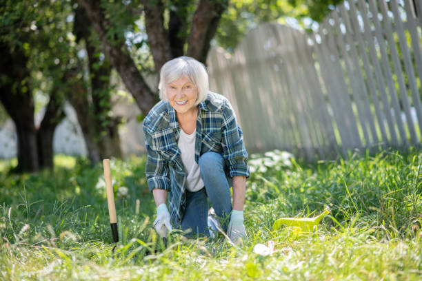 idosa sorridente plantando frutas e legumes - planting clothing gray hair human age - fotografias e filmes do acervo