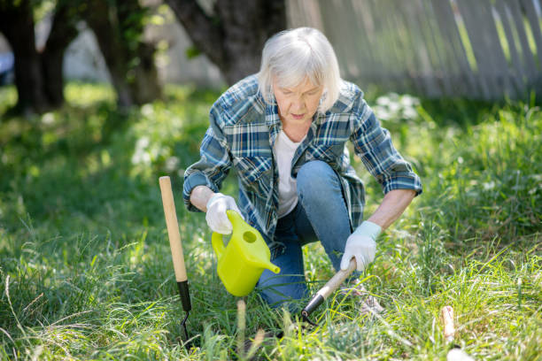 mulher plantando legumes em seu jardim de cozinha - planting clothing gray hair human age - fotografias e filmes do acervo