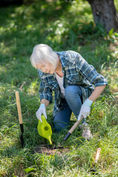 idosa cuidando atentamente de sua horta - planting clothing gray hair human age - fotografias e filmes do acervo