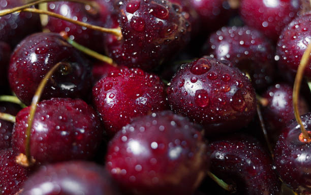 istock Pile of ripe red cherries with stalks. 1257577425