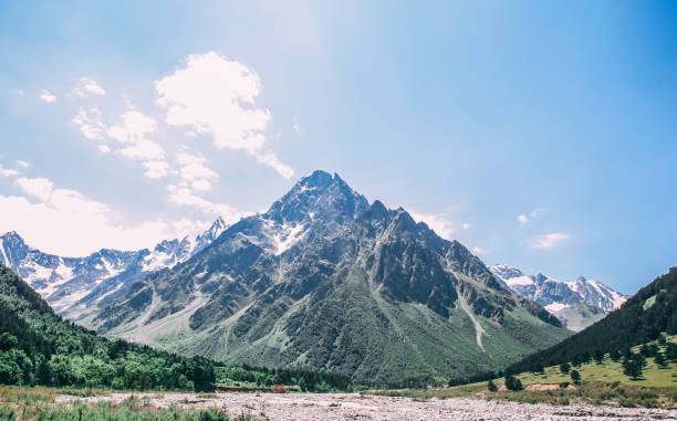 istock Summer landscape in the mountain with forest 1257578150