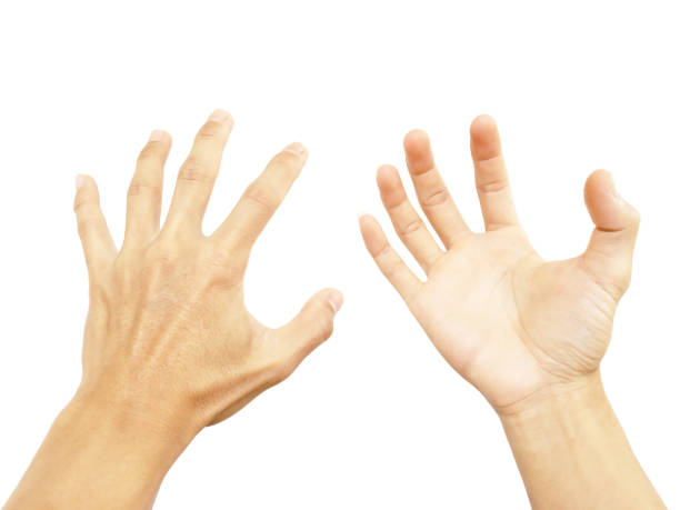 istock hand and people with body part 1257580619
