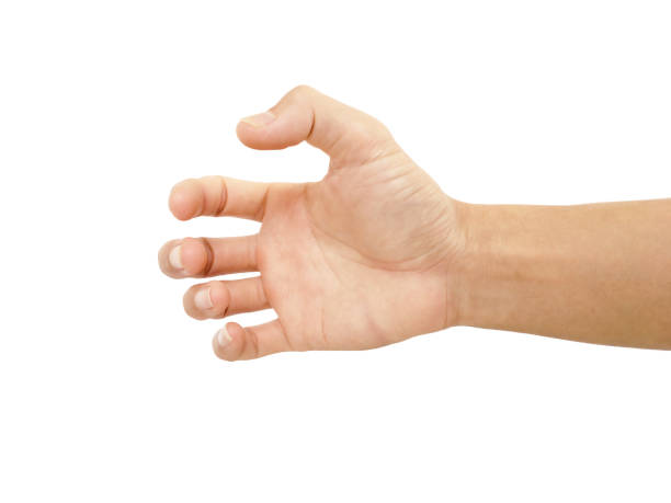 istock hand and people with body part 1257580753