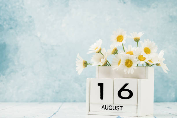 istock White cube calendar for august decorated with daisy flowers 1257582193