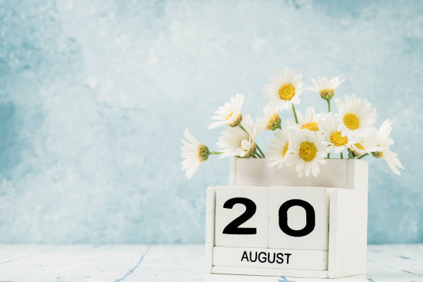 istock White cube calendar for august decorated with daisy flowers 1257582194