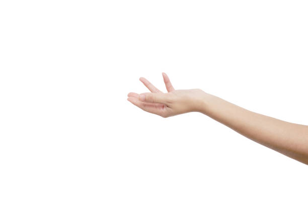 istock hand and people with body part 1257582981
