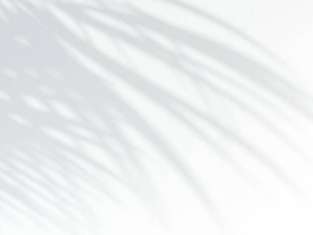 istock 3d illustration of shadow laying on white stucco wall 1257583166