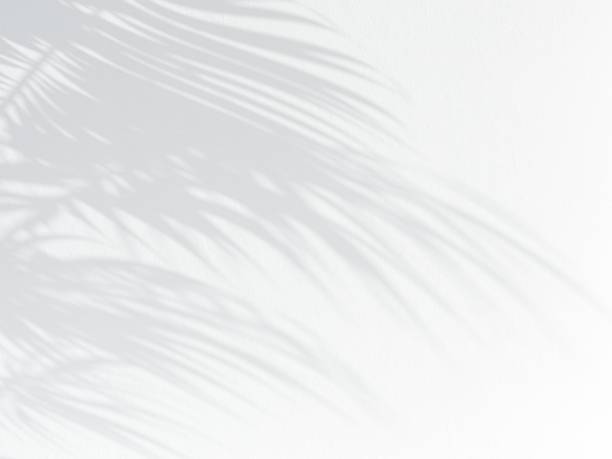 3d illustration of shadow laying on white stucco wall