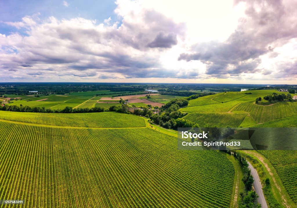 Aerial view, Sunset landscape, Bordeaux wineyard, Langoiran, Gironde, France Aerial view, Sunset landscape, Bordeaux wineyard, Langoiran, France Bordeaux Stock Photo