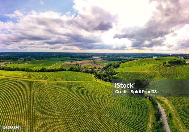 Aerial View Sunset Landscape Bordeaux Wineyard Langoiran Gironde France Stock Photo - Download Image Now