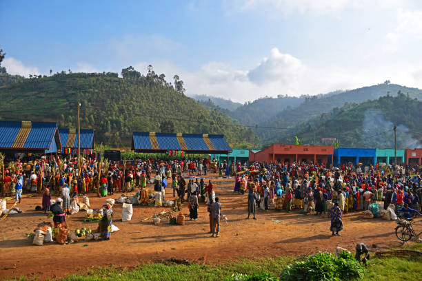 istock The Green Mountains of Rwanda 1257584438