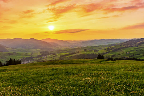 Appenzell countryside at sunset Appenzell countryside at sunset, Switzerland appenzell innerrhoden stock pictures, royalty-free photos & images
