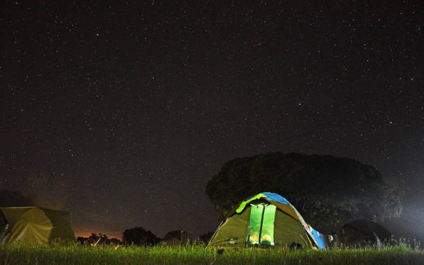 istock Night Sky over Ngorongoro Crater 1257584954
