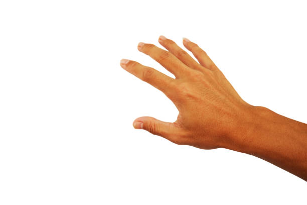 istock hand and people with body part 1257586808
