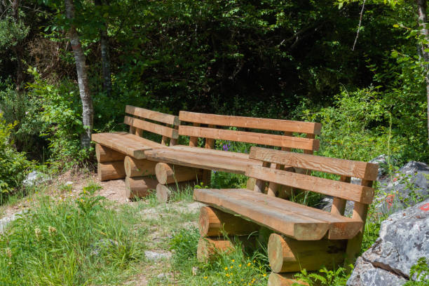 istock Wooden rest banks in the forest 1257587895