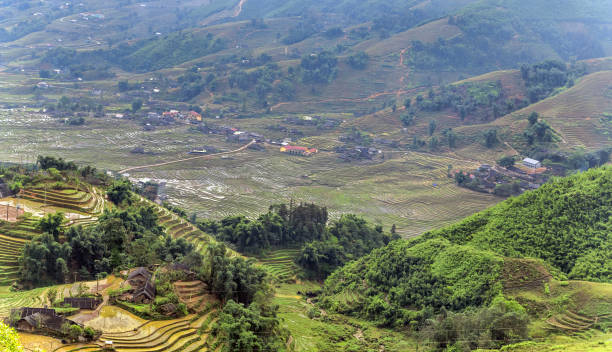 istock Smoky Mountains green rice terrace 1257587938