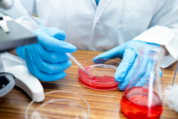 istock Asian scientist biochemist or microbiologist working research with a microscope in laboratory. For protect outbreak Coronavirus Covid19, bacteria and germs. 1257588015