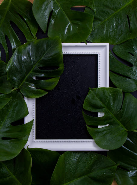 istock White photo frame among green leaves 1257588283