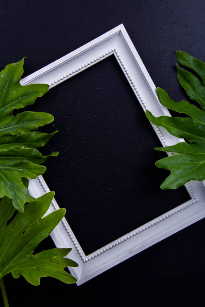 istock White photo frame among green leaves 1257588315