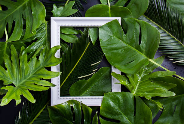 istock White photo frame among green leaves 1257588501