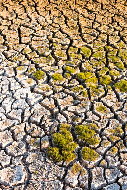 istock Cracked land background top view 1257590218
