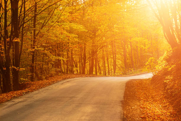 istock Beautiful autumn landscape 1257592032