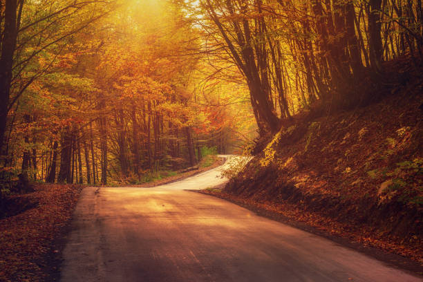 istock Beautiful autumn landscape 1257593074