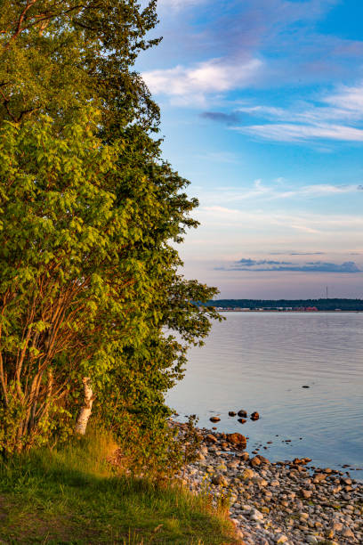 istock Rocks cliff with trees .Tallinn Bay. Summer Evening 1257593194