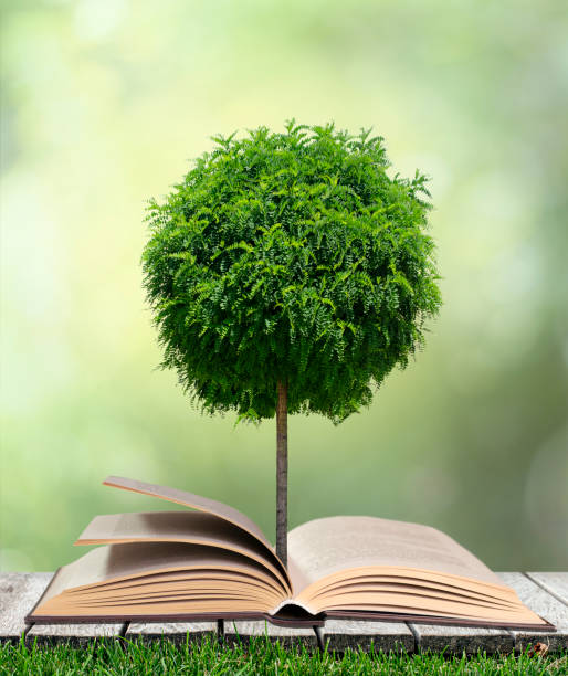 istock Open book with tree in the nature 1257596616