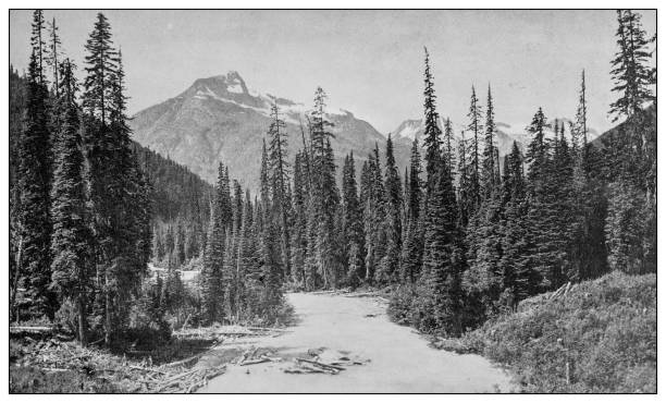 istock Antique black and white photo: At glacier house, Illecillewaet 1257598074