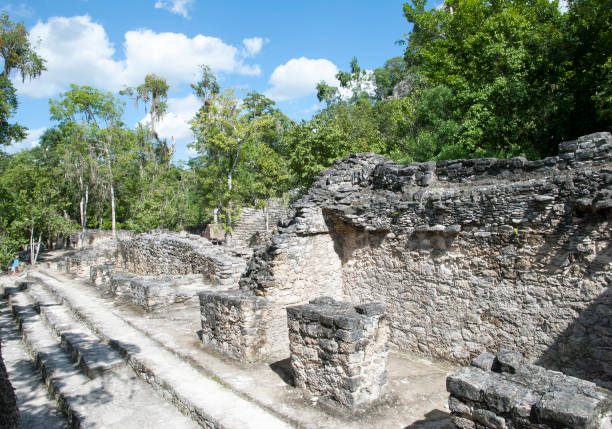 istock Coba Ancient Mayan City Ruins 1257599710