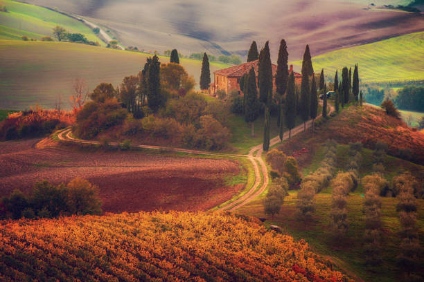 istock Sunrise in Italy 1257601924