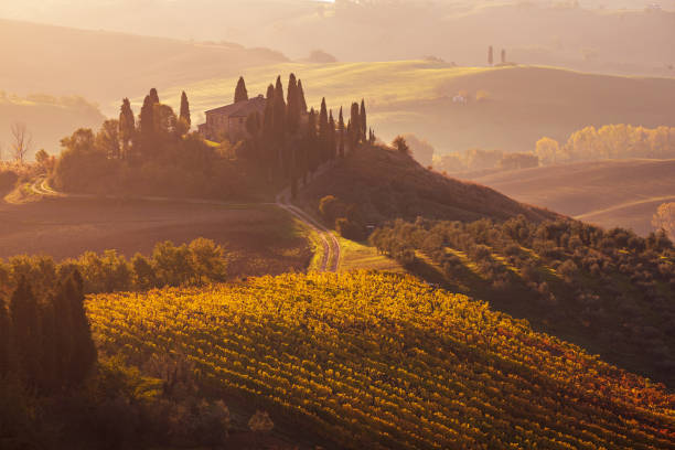 istock Sunrise in Italy 1257601945