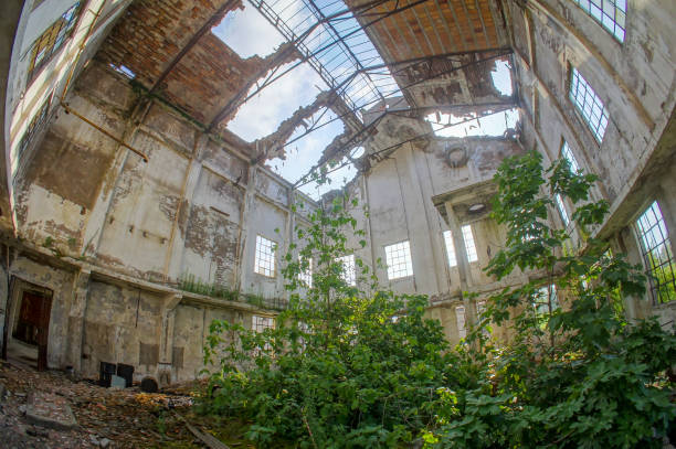 Exploring the Abandoned Volterra Asylum: A Haunting Look into Its Forgotten History.