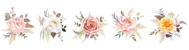 ilustraciones, imágenes clip art, dibujos animados e iconos de stock de lujoso diseño vectorial de moda beige bouquets florales - sepia toned rose pink flower