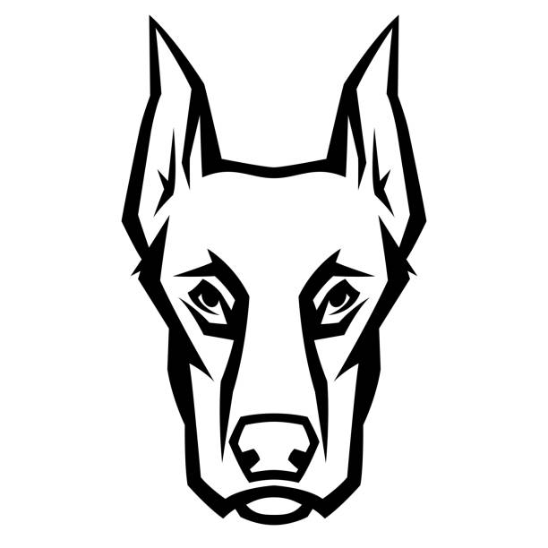 ilustraciones, imágenes clip art, dibujos animados e iconos de stock de mascota estilizada cabeza de doberman. - doberman