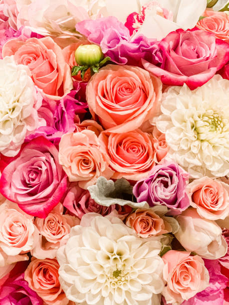 istock Dreamy pastel floral close-up 1257614802