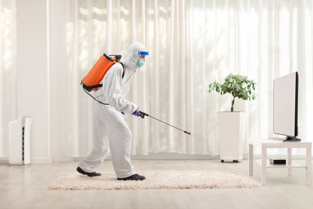 istock Man in a hazmat suit sanitising a room 1257616395