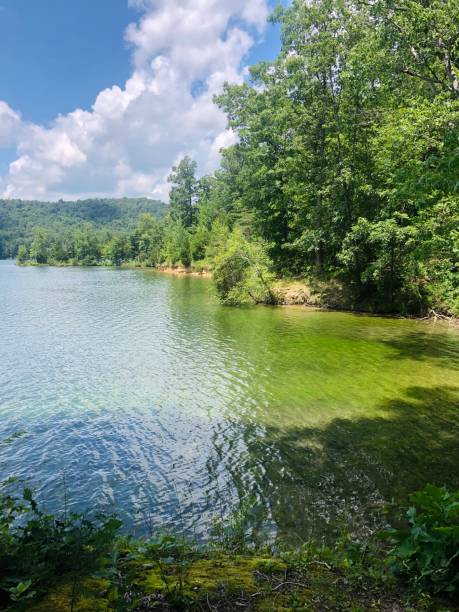 istock Day at the Lake 1257616484