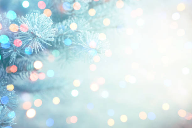 istock Christmas fir tree branches with frost 1257617300