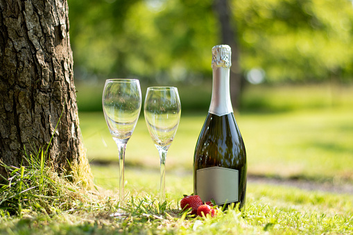 A bottle of Prosecco and strawberries in a beautiful green summer garden.